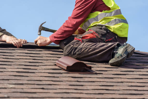 Best New Roof Installation  in Annandale, MN