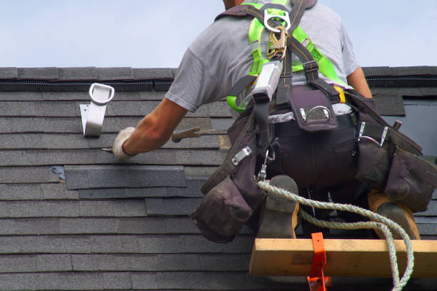 Best Gutter Installation and Roofing  in Annandale, MN