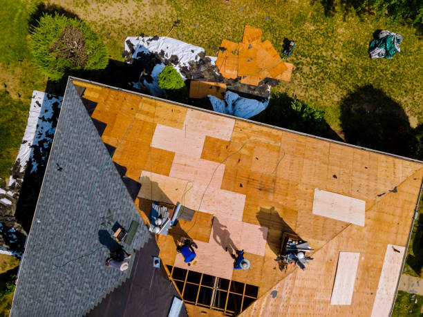 Best Roof Maintenance Services  in Annandale, MN