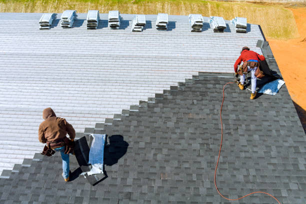Best New Roof Installation  in Annandale, MN
