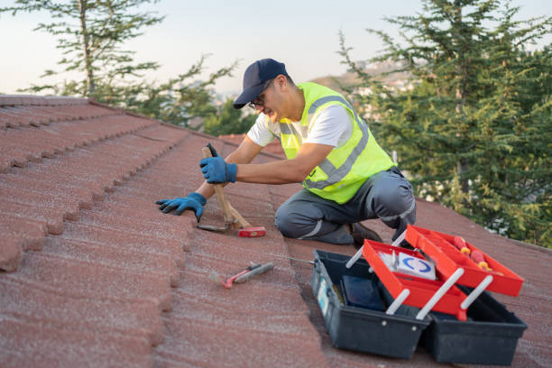 Quick and Trustworthy Emergency Roof Repair Services in Annandale, MN