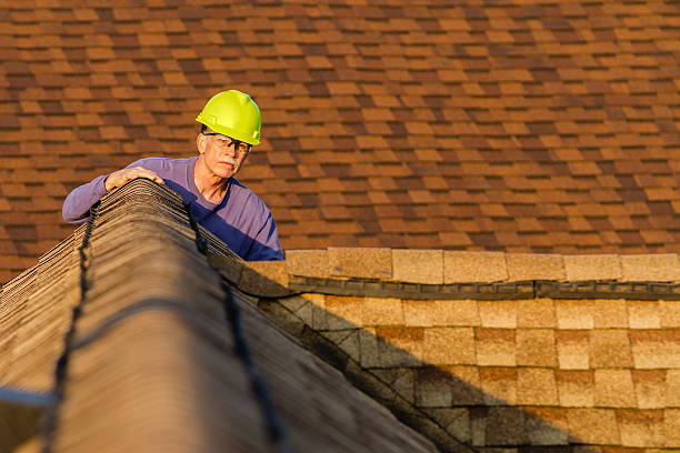 Professional Roofing Contractor in Annandale, MN