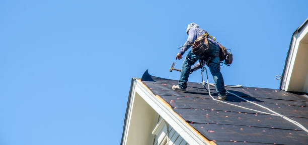 Best Flat Roof Repair Services  in Annandale, MN
