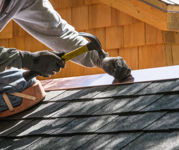 Best Shingle Roofing Installation  in Annandale, MN